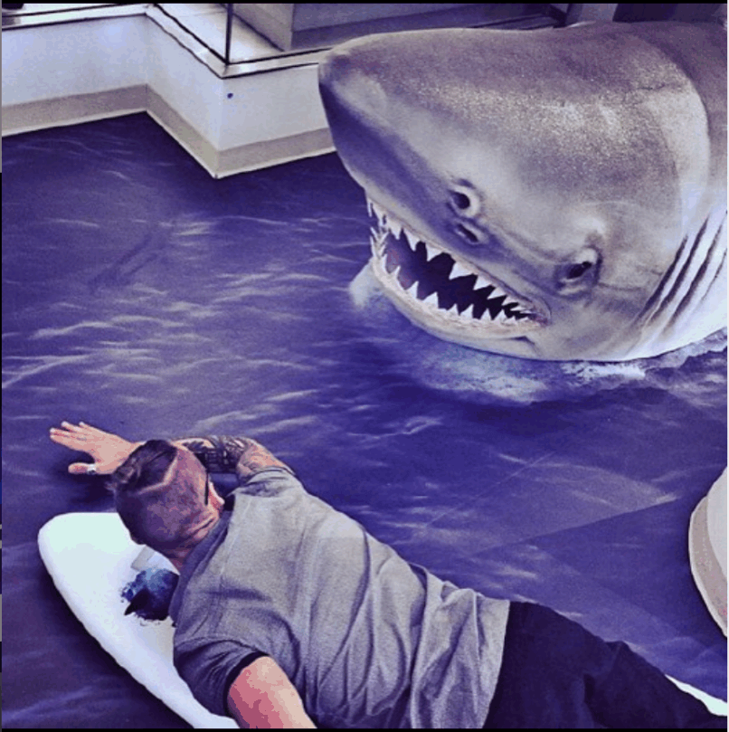 Display we made for Macy's showcasing discovery channel's Shark Week! Custom Foam specializes in Store displays | Visual Merchandising | Trade show exhibits | Custom Signage and more.